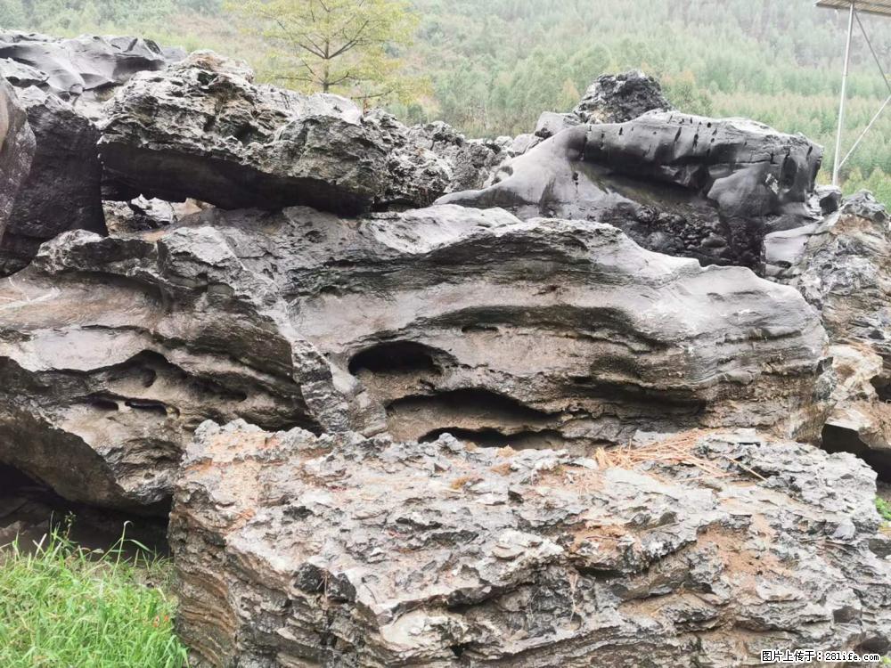 风景石、假山石大量有货，有需要的欢迎联系 - 新手上路 - 嘉峪关生活社区 - 嘉峪关28生活网 jyg.28life.net
