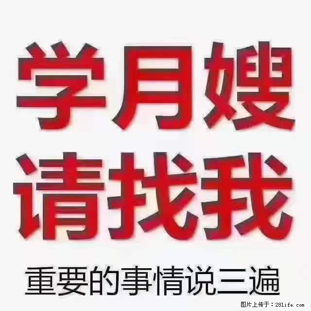 为什么要学习月嫂，育婴师？ - 其他广告 - 广告专区 - 嘉峪关分类信息 - 嘉峪关28生活网 jyg.28life.net