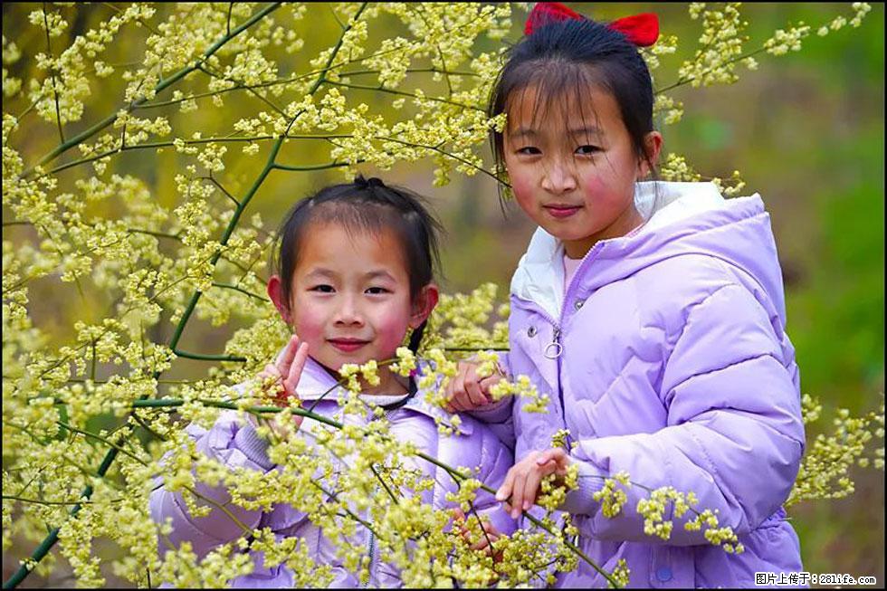 【春天，广西桂林灌阳县向您发出邀请！】米珠山前有片山苍子花在飘香 - 游山玩水 - 嘉峪关生活社区 - 嘉峪关28生活网 jyg.28life.net