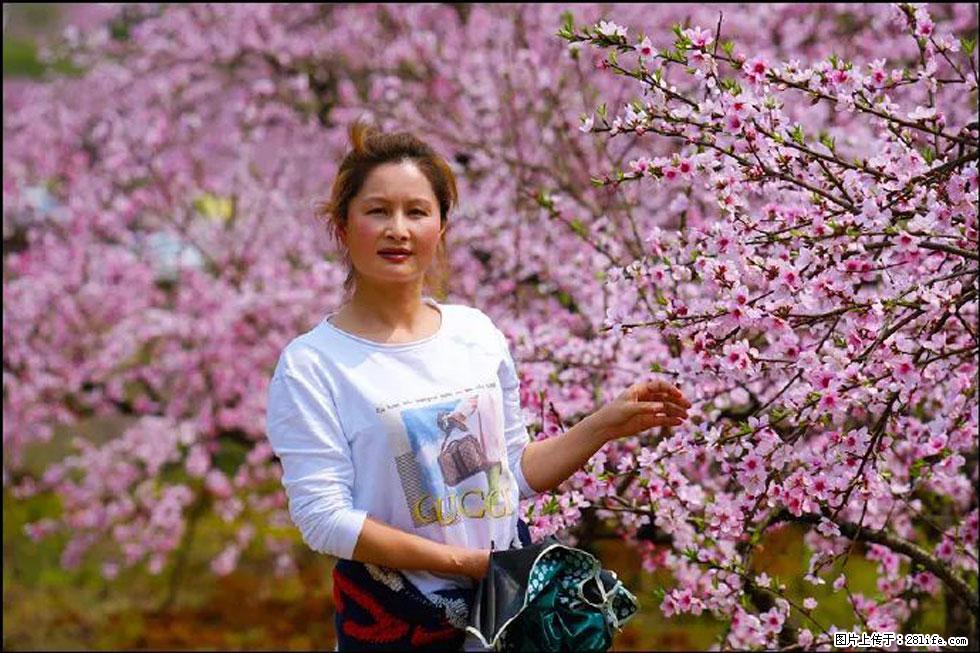 【春天，广西桂林灌阳县向您发出邀请！】官庄村有个醉美的桃花园 - 游山玩水 - 嘉峪关生活社区 - 嘉峪关28生活网 jyg.28life.net
