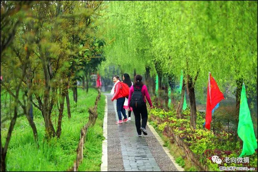 【春天，广西桂林灌阳县向您发出邀请！】江口老街又逢春 - 游山玩水 - 嘉峪关生活社区 - 嘉峪关28生活网 jyg.28life.net