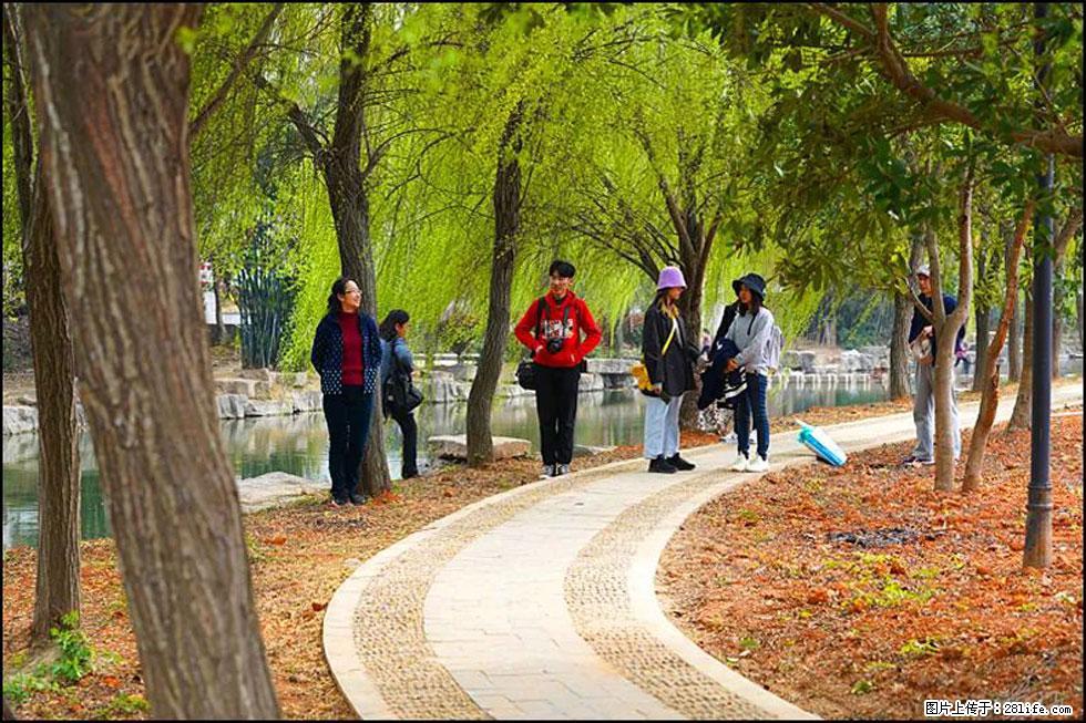 【春天，广西桂林灌阳县向您发出邀请！】江口老街又逢春 - 游山玩水 - 嘉峪关生活社区 - 嘉峪关28生活网 jyg.28life.net