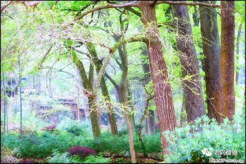 【春天，广西桂林灌阳县向您发出邀请！】在小龙村与春天约会 - 游山玩水 - 嘉峪关生活社区 - 嘉峪关28生活网 jyg.28life.net