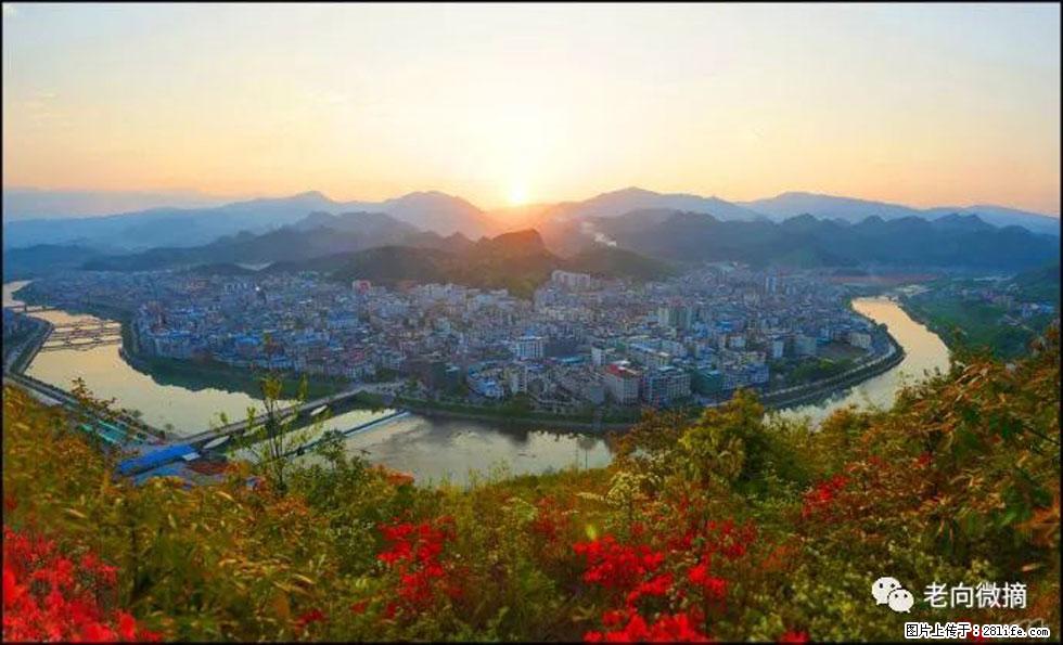 【春天，广西桂林灌阳县向您发出邀请！】登麒麟山，相约映山红 - 游山玩水 - 嘉峪关生活社区 - 嘉峪关28生活网 jyg.28life.net