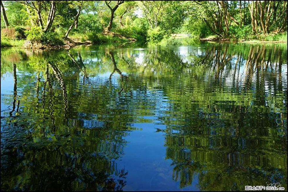【春天，广西桂林灌阳县向您发出邀请！】熊家寨湿地公园 - 游山玩水 - 嘉峪关生活社区 - 嘉峪关28生活网 jyg.28life.net