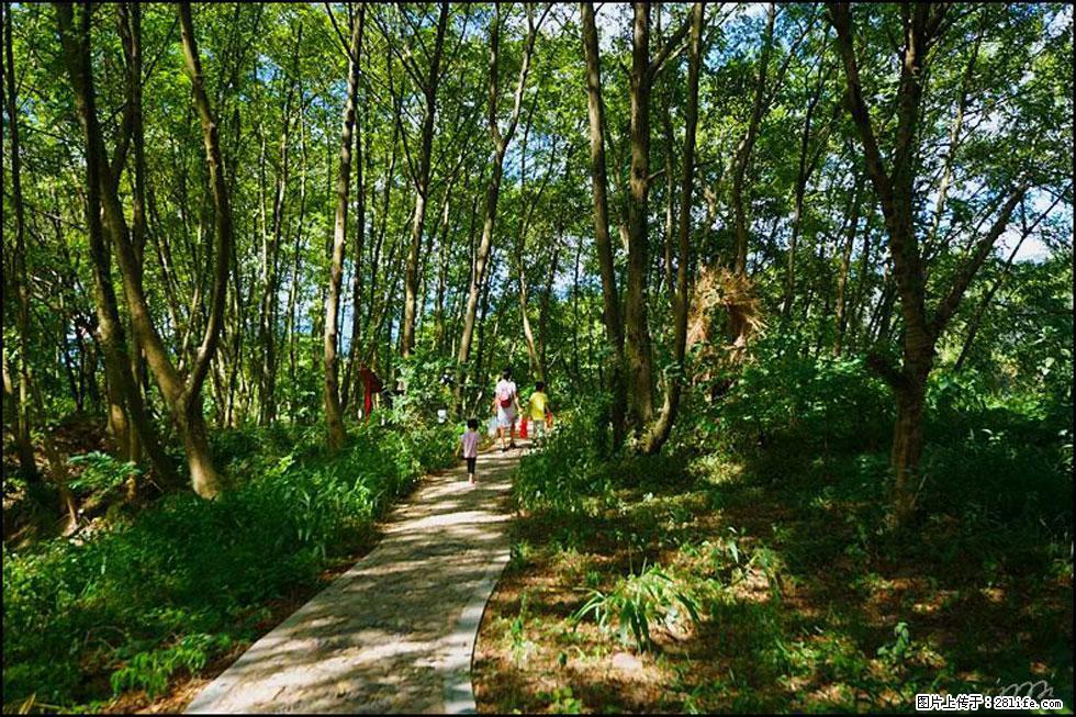 【春天，广西桂林灌阳县向您发出邀请！】熊家寨湿地公园 - 游山玩水 - 嘉峪关生活社区 - 嘉峪关28生活网 jyg.28life.net