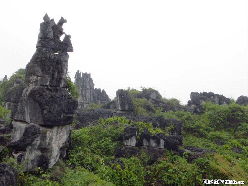桂林旅游名城景点：灌阳文市石林 - 游山玩水 - 嘉峪关生活社区 - 嘉峪关28生活网 jyg.28life.net