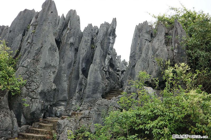 桂林旅游名城景点：灌阳文市石林 - 游山玩水 - 嘉峪关生活社区 - 嘉峪关28生活网 jyg.28life.net