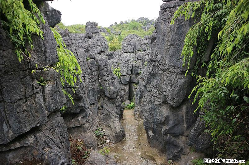 桂林旅游名城景点：灌阳文市石林 - 游山玩水 - 嘉峪关生活社区 - 嘉峪关28生活网 jyg.28life.net