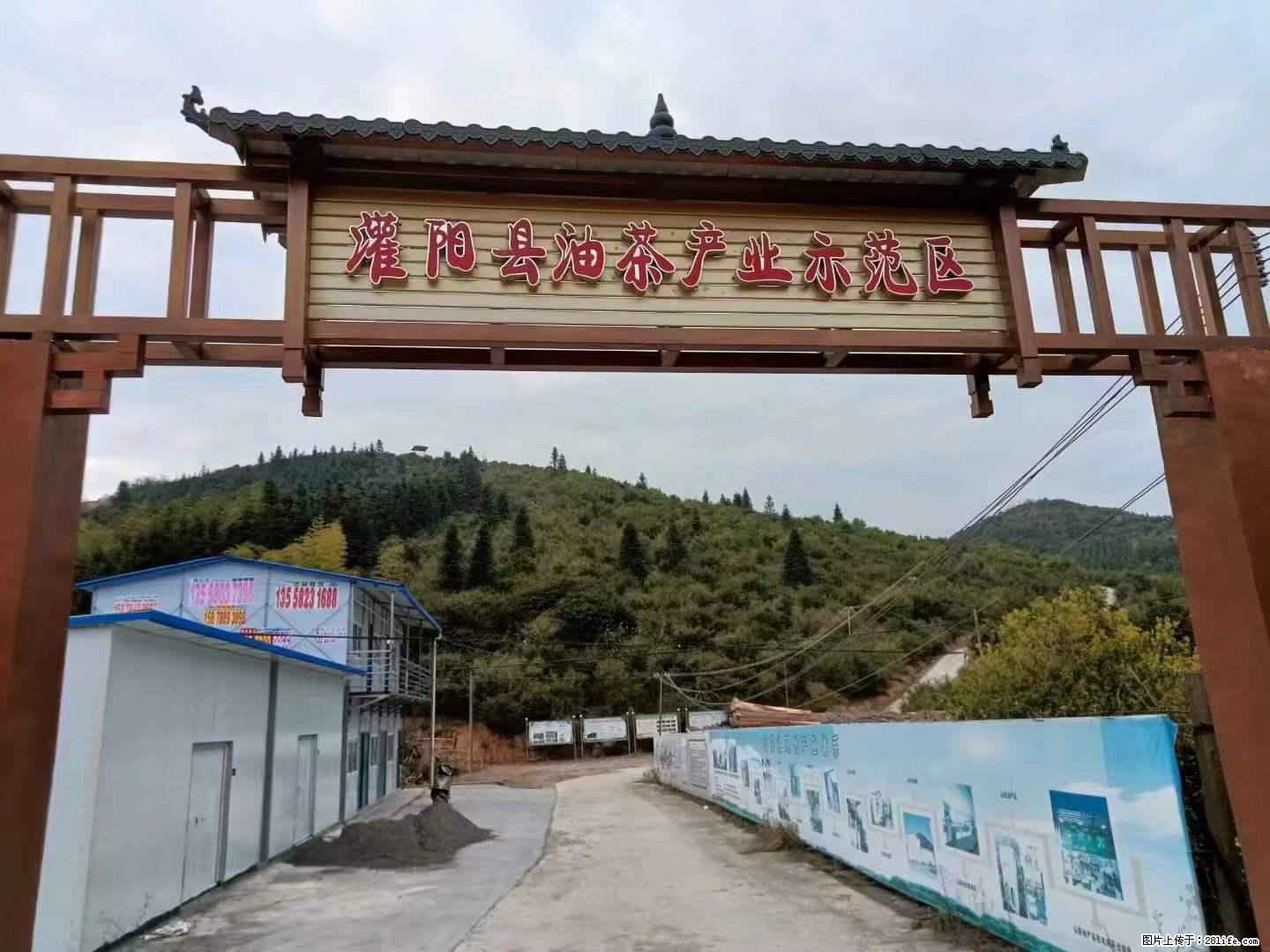 【灌阳县油茶产业示范区】一个有着充实的精神生活的人，对待身外之物自会有一种淡泊的态度 - 土特产 - 饮食特产 - 嘉峪关分类信息 - 嘉峪关28生活网 jyg.28life.net