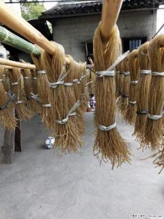 【灌阳正宗红薯粉】美女家里自己做的，干净卫生，假一赔十，价格合理，抢购电话：13737312895 - 嘉峪关28生活网 jyg.28life.net