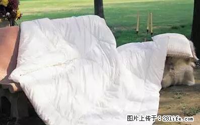 被子有异味？只要这样做，比晒太阳还强100倍！ - 家居生活 - 嘉峪关生活社区 - 嘉峪关28生活网 jyg.28life.net