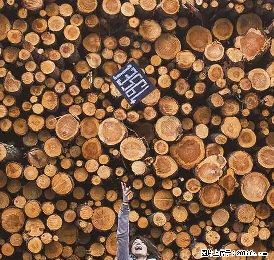 辞掉工作周游世界？现在他们在洗厕所…… - 游山玩水 - 嘉峪关生活社区 - 嘉峪关28生活网 jyg.28life.net