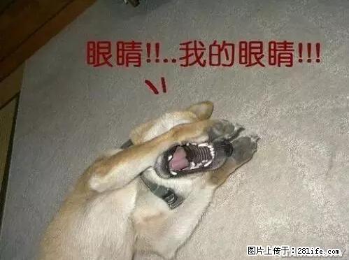 笑癫了！一女的怀孕三年未生，他终于忍不住了... - 娱乐八卦 - 嘉峪关生活社区 - 嘉峪关28生活网 jyg.28life.net