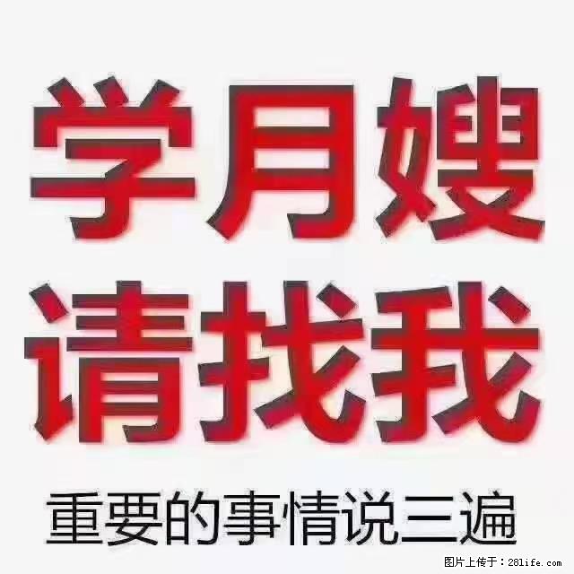 【招聘】月嫂，上海徐汇区 - 职场交流 - 嘉峪关生活社区 - 嘉峪关28生活网 jyg.28life.net