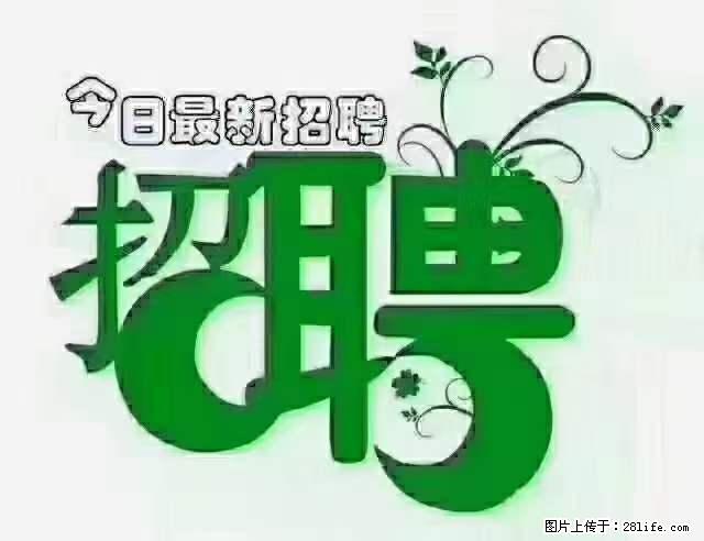 急聘！急聘！上海酒店长期前台，做六休一，每天8小时，6000块钱一月 - 职场交流 - 嘉峪关生活社区 - 嘉峪关28生活网 jyg.28life.net