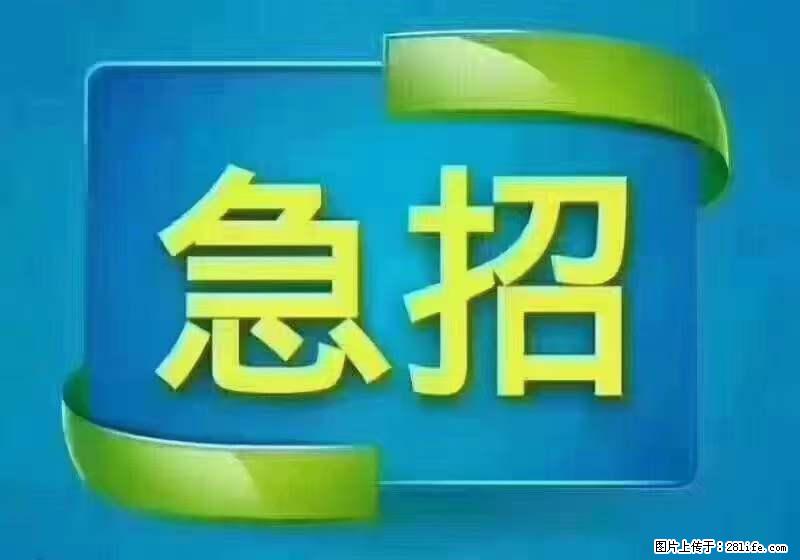招出纳8000元/月，无证可以，要有相关经验，上海五险一金，包住，包工作餐，做六休一。 - 职场交流 - 嘉峪关生活社区 - 嘉峪关28生活网 jyg.28life.net