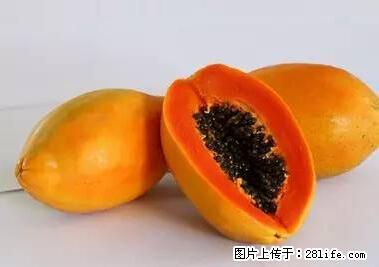 晕车、脚气、牙齿变黄、皮肤粗糙？学会这些三分钟搞定！ - 嘉峪关生活资讯 - 嘉峪关28生活网 jyg.28life.net