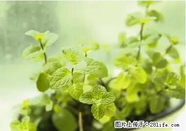 晕车、脚气、牙齿变黄、皮肤粗糙？学会这些三分钟搞定！ - 嘉峪关生活资讯 - 嘉峪关28生活网 jyg.28life.net