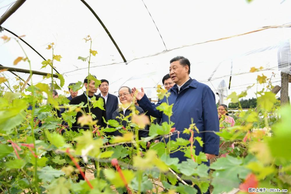 习近平赴广西考察调研 - 嘉峪关生活资讯 - 嘉峪关28生活网 jyg.28life.net