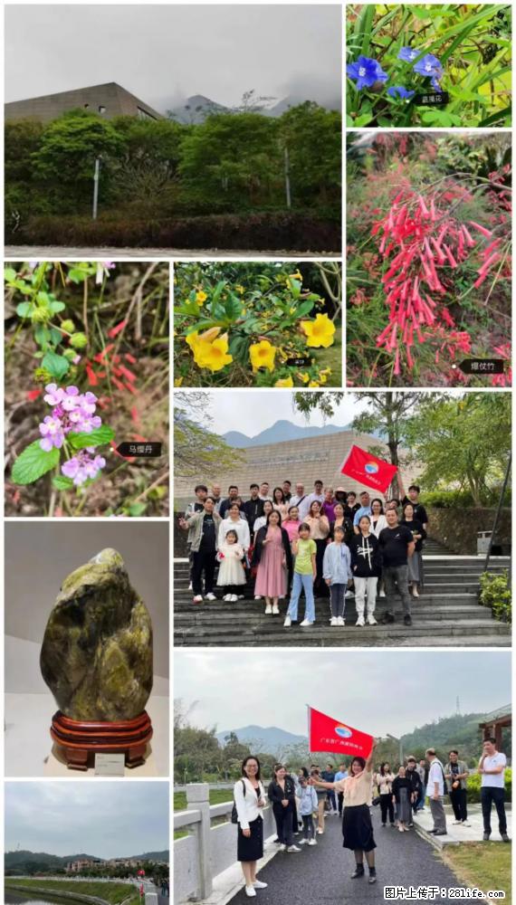 “粤灌文化 美好生活”油茶文化主题活动在广东深圳成功举办 - 嘉峪关生活资讯 - 嘉峪关28生活网 jyg.28life.net