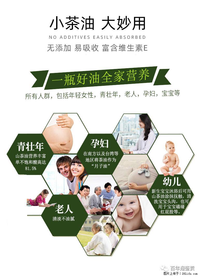 世界没有真相，只有认知，最好的食用油是中国的山茶油！ - 嘉峪关生活资讯 - 嘉峪关28生活网 jyg.28life.net