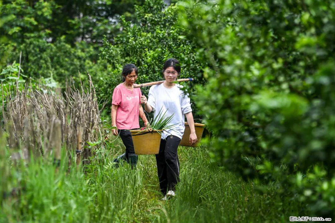 全网追的“扁担女孩”，找了一份暑假工，时薪12元 - 嘉峪关生活资讯 - 嘉峪关28生活网 jyg.28life.net