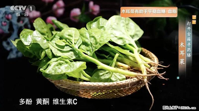比牛奶补钙还厉害！凉血解毒、稳血糖...这菜冬天必吃，很多人却当草 - 嘉峪关生活资讯 - 嘉峪关28生活网 jyg.28life.net