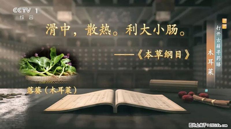 比牛奶补钙还厉害！凉血解毒、稳血糖...这菜冬天必吃，很多人却当草 - 嘉峪关生活资讯 - 嘉峪关28生活网 jyg.28life.net