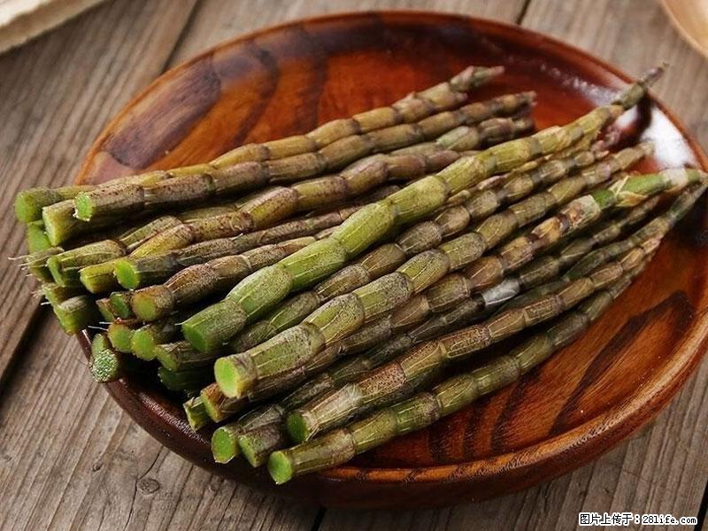 铁皮石斛的作用与功能主治 - 嘉峪关生活资讯 - 嘉峪关28生活网 jyg.28life.net