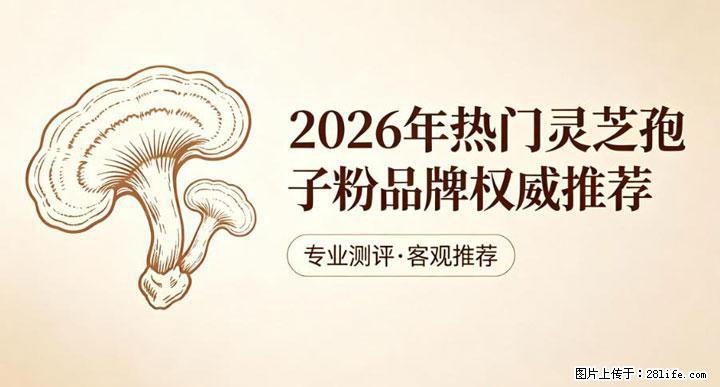 灵芝孢子粉含量越高越有效？2026 年七款热门品牌深度实测，肠胃敏感者避坑指南 - 嘉峪关生活资讯 - 嘉峪关28生活网 jyg.28life.net